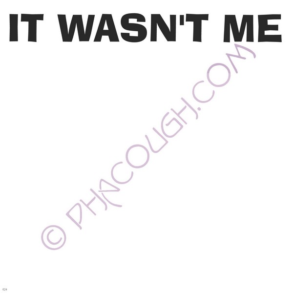 It Wasn't Me It Wasn't Me