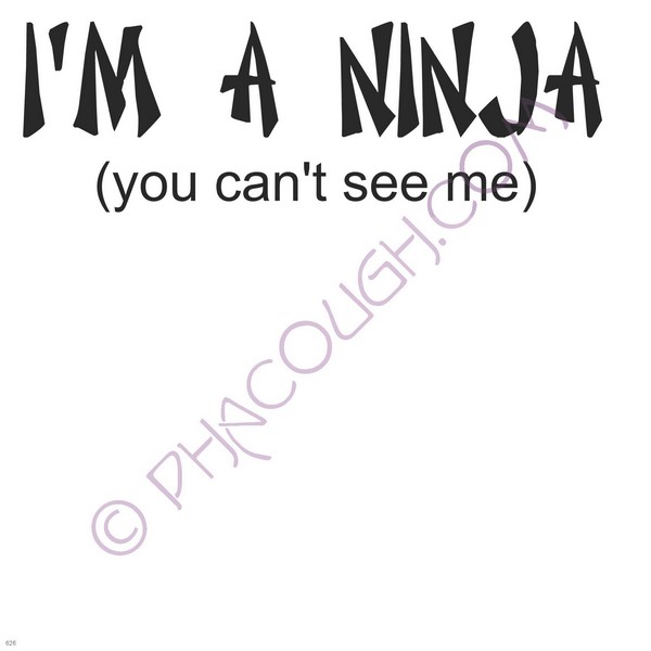 I'm A Ninja You Can't See Me I'm A Ninja You Can't See Me