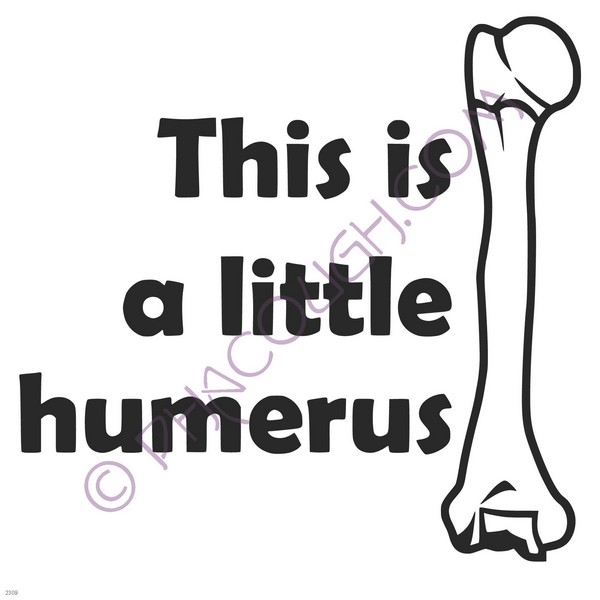 This is a little humerus This is a little humerus